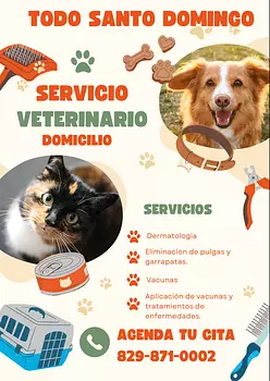 servicios profesionales - Veterinaria Domicilio