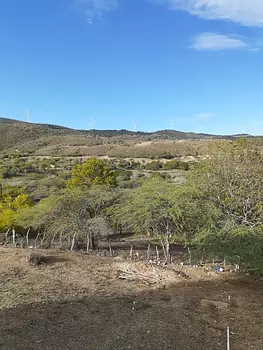 solares y terrenos - Terreno Turístico o para proyecto eléctrico. 