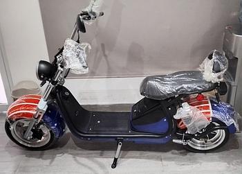 vehiculos recreativos - Scooter eléctrica  Fat Tire