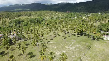 solares y terrenos - Terreno con 46,000.00 Metros2, Ubicado en Majagual 