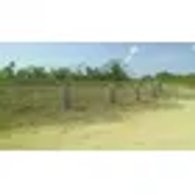 Listing thumbnail
