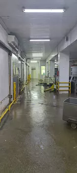 oficinas y locales comerciales - Nave refrigerada en Palamara