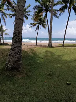 solares y terrenos - VENDEMOS SOLAR ESPECTACULAR EN LINEA DE PLAYA EN NAGUA