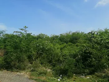 solares y terrenos - Terreno de 90,000 metros cuadrados, Autopista de San Isidro