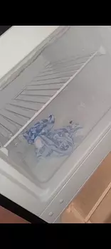 electrodomesticos - Vendo nevera nedoca 13000