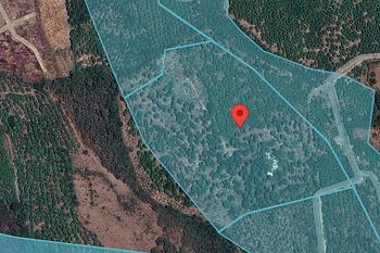 solares y terrenos - Venta de finca de mango en Baní por debajo del pre