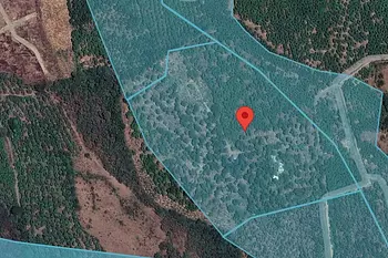 solares y terrenos - Venta de finca de mango en Baní por debajo del pre