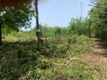 solares y terrenos - Solar llano y de fácil acceso en Guayacanes