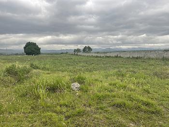 solares y terrenos - vendo Terreno Industrial en la Circunvalación de Santo Domingo 