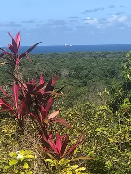 casas vacacionales y villas - terreno de oportunidades con 6700 m2 con villa y vista al mar