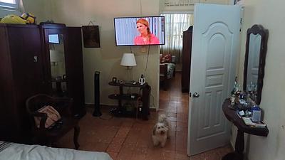 Listing thumbnail