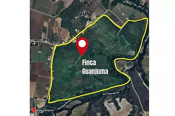 otros inmuebles - Finca Bananera en Venta en Amina – Producción Certificada para Exportación