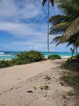 solares y terrenos - Terreno de 10,358 Mts2 en Playa Rincon, Samana 