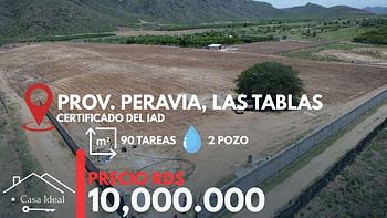 solares y terrenos - tierra lista para siembra las tablas Bani 90 tareas 