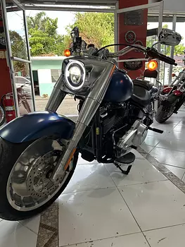 motores y pasolas - Harley Davidson Fat Boy Año 2018