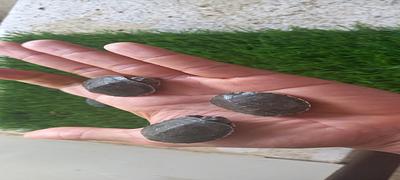 Listing thumbnail