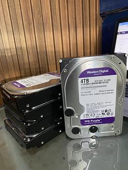 computadoras y laptops - disco sata HDD purpura 4TB 