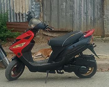otros vehiculos - la vendo en 11 mil peso, el precio  es  negociable 