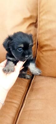 Listing thumbnail