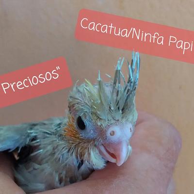 Listing thumbnail