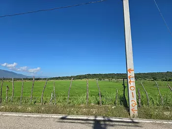solares y terrenos - Terreno agrícola 