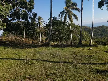solares y terrenos - Venta-Terreno en Samana con vistas a la bahia de Samana