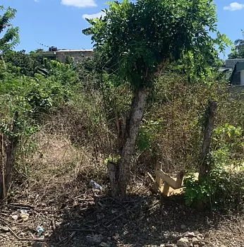 solares y terrenos - Solar de 300 Mts en Santiago de los Caballeros. Estancia Nueva, Puñal 