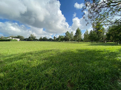Listing thumbnail