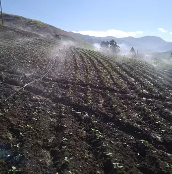 solares y terrenos - Terreno 40,100 mts Tireo, Constanza 
