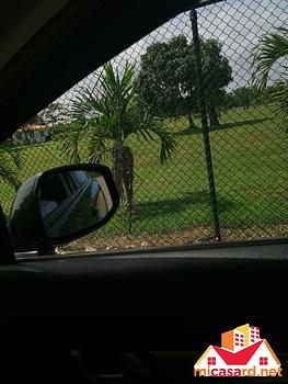 solares y terrenos - Terreno de 96,500 metros en Boca Chica