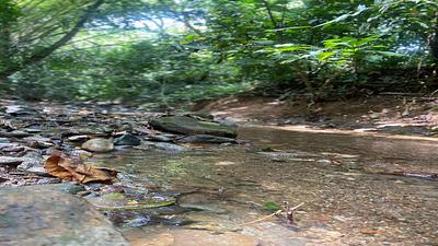 Listing thumbnail