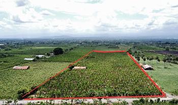 solares y terrenos - 22,000 METROS A 25 MINUTOS DEL AEROPUERTO CIBAO