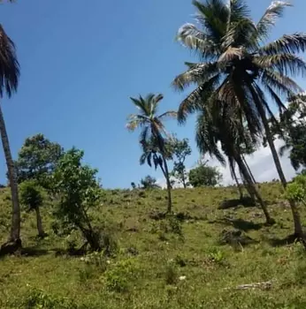 solares y terrenos - Se vende terreno en Samaná