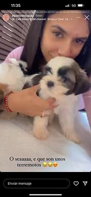 Listing thumbnail