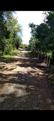 Listing thumbnail