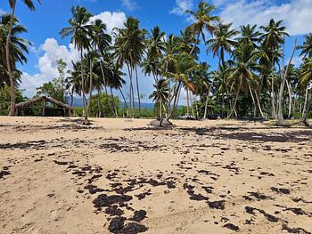 solares y terrenos - VENDO EN PLAYA EL LIMÓN EN MICHES HERMOSOS TERRENOS A PIE DE PLAYA 
