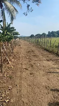 solares y terrenos - Finca 520 tareas en monte plata, en Don Juan 
