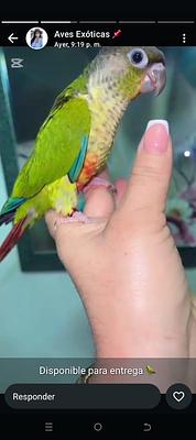 Listing thumbnail