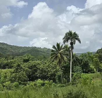 solares y terrenos - Terreno en Venta en Hato Viejo Yamasá desde 1,000 Mts, con vista hacia el Rio 