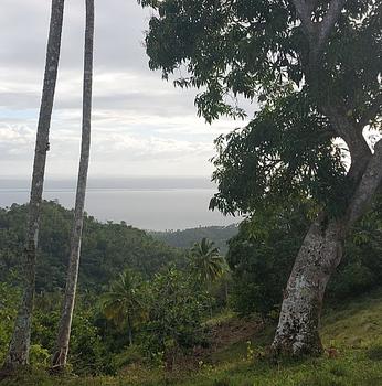 solares y terrenos - Venta-Terreno en Samana con vistas a la bahia de Samana