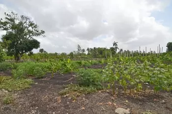 solares y terrenos - Terreno con Mejora en Monte de la Jagua 