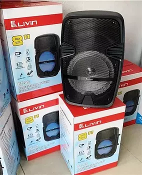 camaras y audio - LIVIN de 8 recargables
