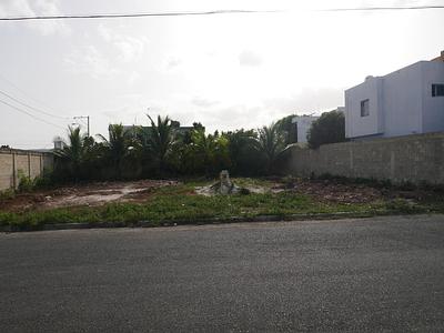 Listing thumbnail