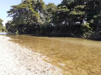 solares y terrenos - Finca 1,500 Tareas en Cabezas de Toros, Guayubin