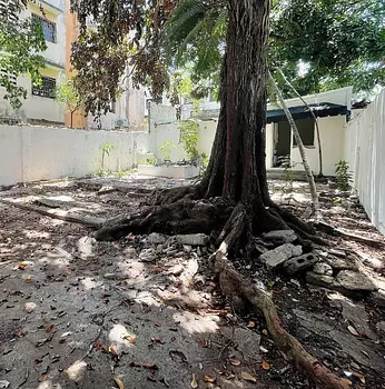 casas - Venta de Casa en Gazcue