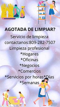 servicios profesionales - servicio de limpieza 