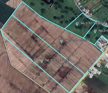solares y terrenos - Finca arrocera, excelente producción, frente comercial  $US 4,200.00/ tarea