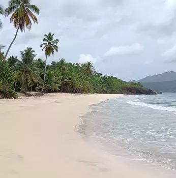 solares y terrenos - Terreno 700,000 mts Playa Rincón, Samaná