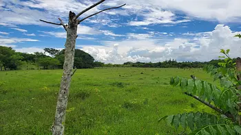 solares y terrenos - Finca en el Toro de Guerra