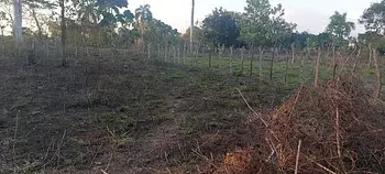 solares y terrenos - Terreno